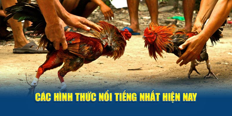 Các hình thức nổi tiếng nhất hiện nay